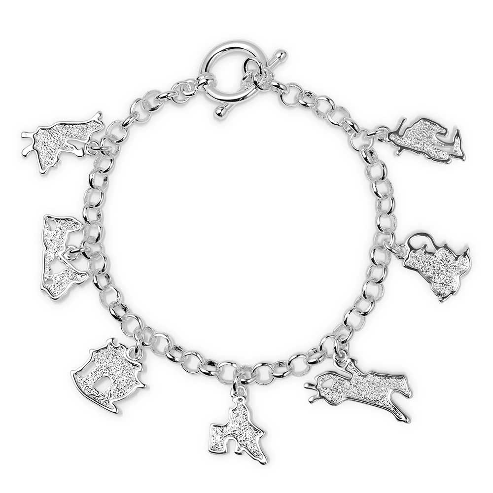 MONTANA SILVERSMITHS CHARMS OF CHAMPIONS RODEO